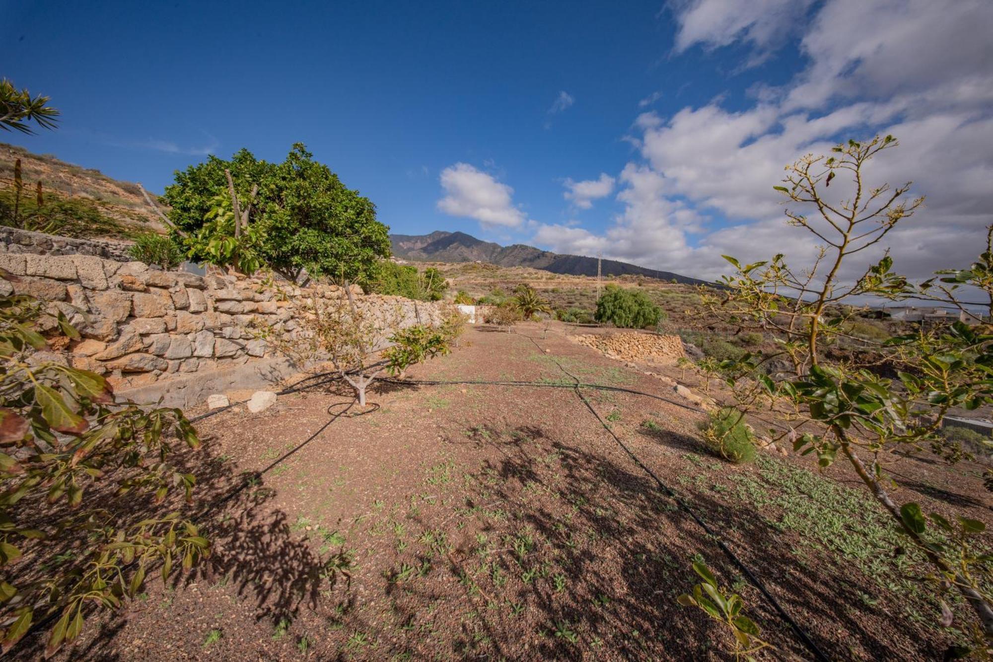 Casa Rural Buda Terra Santa Cruz de Tenerife Exterior foto